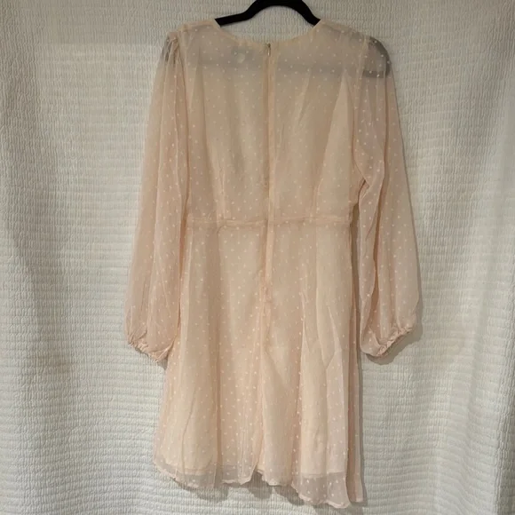 ! NWT DAVI & DANI Cream Sheer Polka Dot Long Sleeve V-Neck Dress ! - Picture 4 of 5